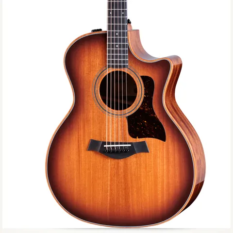 300 Series アコースティックギター | Taylor Guitars